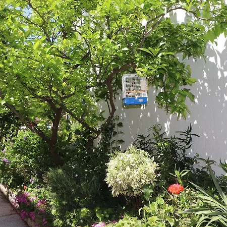 A 5 With Terrace Garden And Sea View *