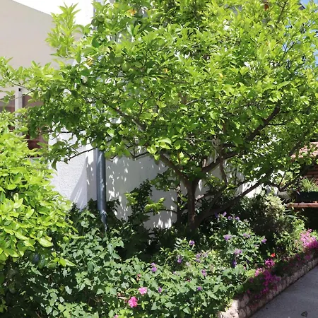 Nyaraló A 5 With Terrace Garden And Sea View Barbat na Rabu